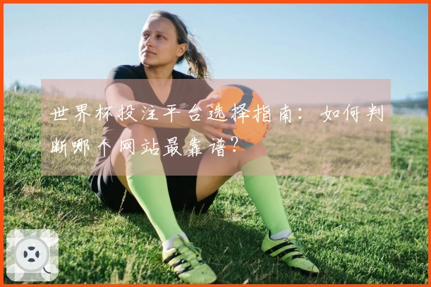 世界杯投注平台选择指南：如何判断哪个网站最靠谱？