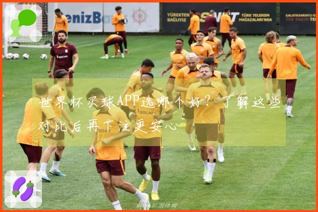 世界杯买球APP选哪个好？了解这些对比后再下注更安心