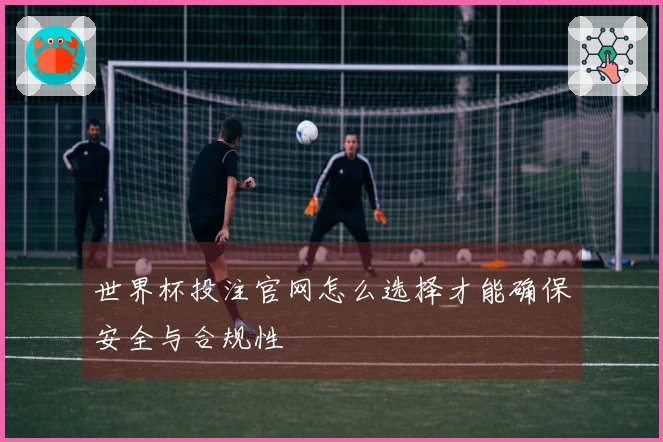世界杯投注官网怎么选择才能确保安全与合规性