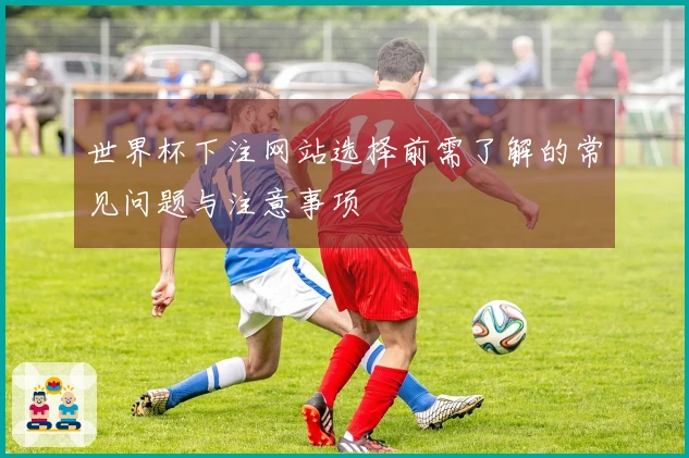 世界杯下注网站选择前需了解的常见问题与注意事项
